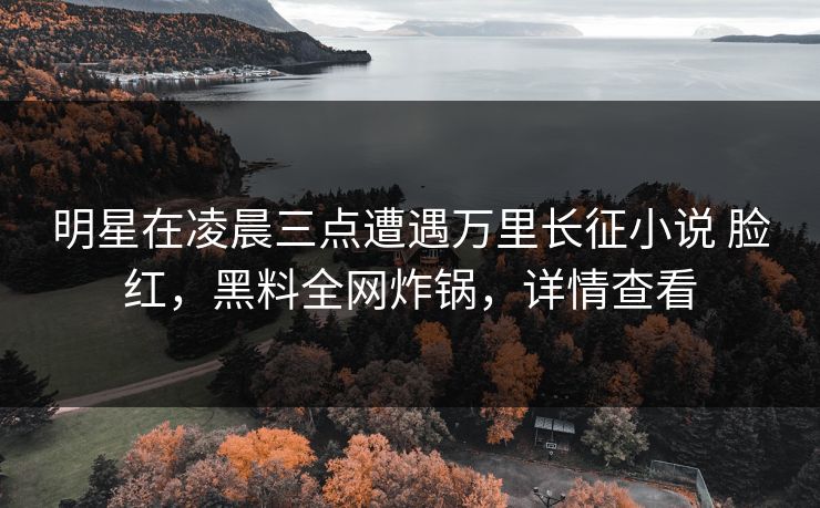 明星在凌晨三点遭遇万里长征小说 脸红，黑料全网炸锅，详情查看