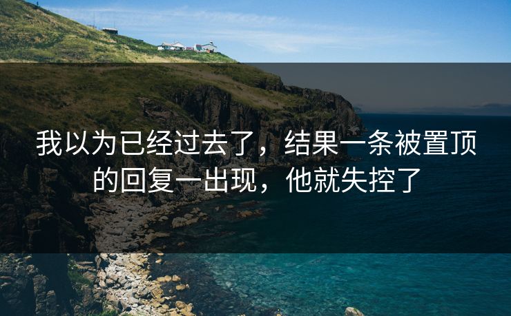 我以为已经过去了，结果一条被置顶的回复一出现，他就失控了