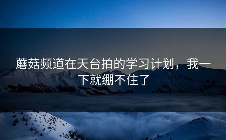 蘑菇频道在天台拍的学习计划，我一下就绷不住了